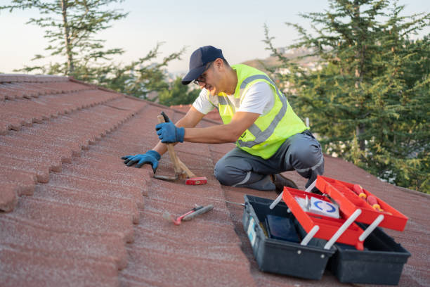 Best Emergency Roof Repair  in Arlington Heights, WA
